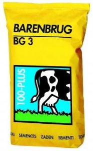 Afbeelding - 1973609181001-jpg